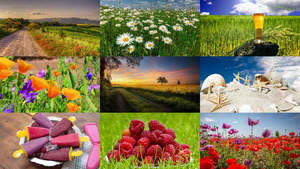 klicke hier, um die Datei herunterzuladen Sommer 23