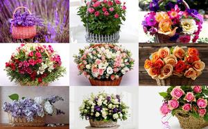 klicke hier, um die Datei herunterzuladen Flower Baskets - Blumenkörbe