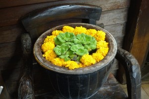klicke hier, um die Datei herunterzuladen Impressionen aus Thailand 10