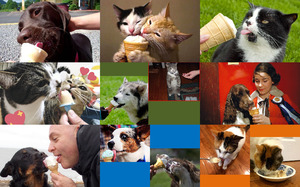 klicke hier, um die Datei herunterzuladen Dogs, Cats & Ice Cream - Hunde, Katzen & Eis