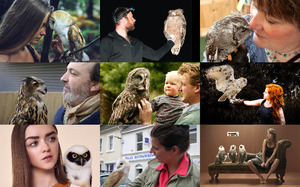 Owls and Humans - Eulen und Menschen