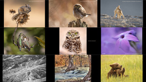 klicke hier, um die Datei herunterzuladen Photo Of The Day Outdoor Photographer - Fotograf im Freien