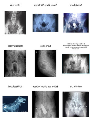 klicke hier, um die Datei herunterzuladen Seltsame Röntgenbilder