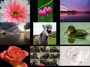 klicke hier, um die Datei herunterzuladen Wunderbare Bilder 1