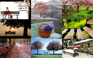 klicke hier, um die Datei herunterzuladen Benches in the Seasons - Bänke in den Jahreszeiten