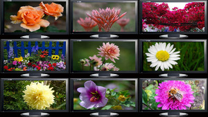 klicke hier, um die Datei herunterzuladen Diaporama de jolies Fleurs - Diashow von schönen Blumen