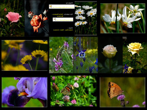 klicke hier, um die Datei herunterzuladen Flowers - Blumen