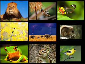 klicke hier, um die Datei herunterzuladen Nature Sublime 7 - Erhabene Natur 7