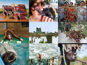 klicke hier, um die Datei herunterzuladen Extreme Bilder