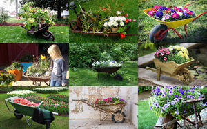 klicke hier, um die Datei herunterzuladen Floral Wheelbarrows - Blumen Schubkarren