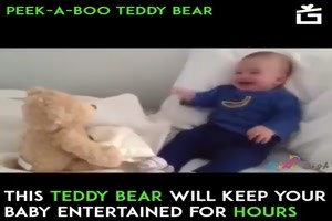 S��er Teddy