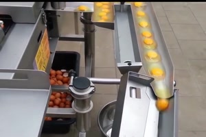 Eiertrenn-Maschine