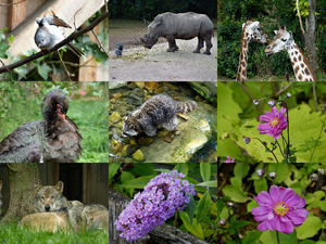 A day in September - GaiaZoo - Ein Tag im September