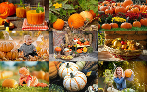 Pumpkin Season - Krbis-Saison