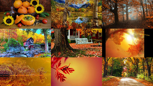 klicke hier, um die Datei herunterzuladen Herbst 22