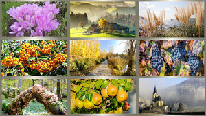 klicke hier, um die Datei herunterzuladen Herbst
