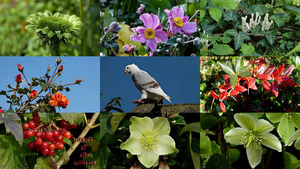 Herfst in alle facetten - Herbst in allen Facetten