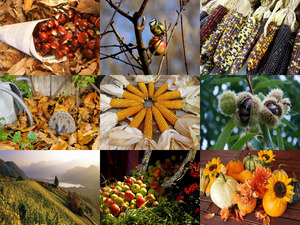 klicke hier, um die Datei herunterzuladen Wow Beautyful Herbst