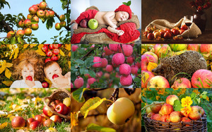 klicke hier, um die Datei herunterzuladen Apples 1 - Äpfel 1