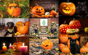 Halloween Pumpkins - Halloween Krbisse