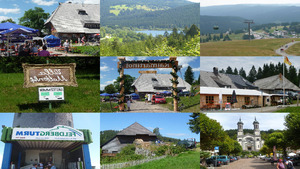 Ein-Spaziergang-im-Schwarzwald