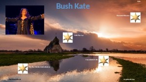 Jukebox - Bush Kate 003