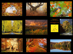 klicke hier, um die Datei herunterzuladen Automne Musique 11 - Herbstmusik 11
