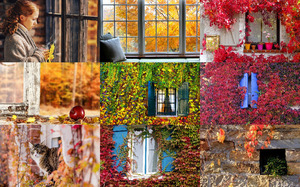 Autumn-Windows---Herbstfenster.ppsx auf www.funpot.net