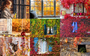 Autumn Windows - Herbstfenster