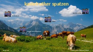 klicke hier, um die Datei herunterzuladen Jukebox - kastelruther spatzen 003