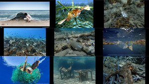 klicke hier, um die Datei herunterzuladen Sea of Garbage - Meer von Müll