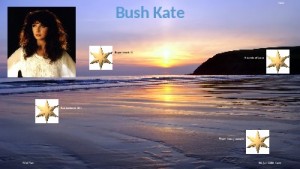 klicke hier, um die Datei herunterzuladen Jukebox - Bush Kate 004