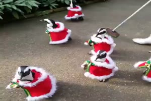 Weihnachtliche Parade