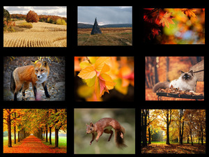klicke hier, um die Datei herunterzuladen Automne Musique 6 - Herbstmusik 6