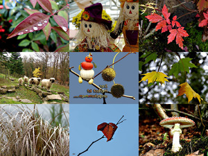klicke hier, um die Datei herunterzuladen Der Herbst ist angekommen