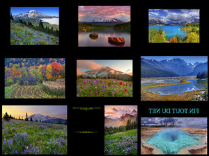 klicke hier, um die Datei herunterzuladen Kevin McNeal Nature 2 - Kevin McNeal Natur 2