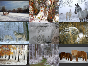 Winterliche Bilder