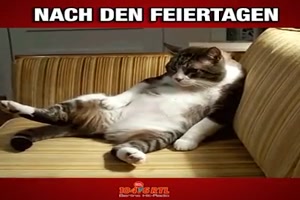 Vor und nach den Feiertagen