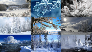 Winter-43.ppsx auf www.funpot.net