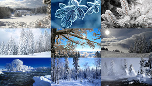 klicke hier, um die Datei herunterzuladen Winter 43