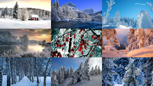 klicke hier, um die Datei herunterzuladen Winter 44