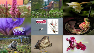 klicke hier, um die Datei herunterzuladen Images ... H D R I - 28 - Bilder ... H D R I - 28