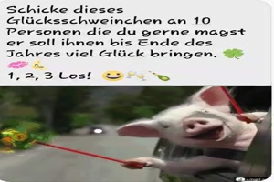 ein Glücksschwein für dich, wel ich dich mag...