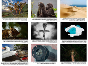 klicke hier, um die Datei herunterzuladen Die schönsten Naturfotos 2018