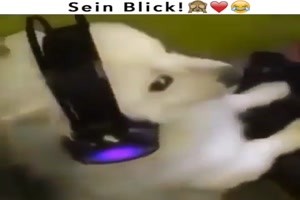 dieser Blick ist unbezahlbar