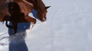 Spaß im Schnee