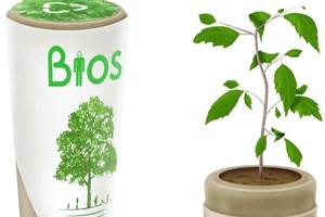 Die Bio-Urne