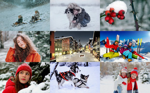 klicke hier, um die Datei herunterzuladen Winter