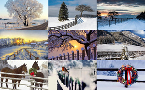 Winter Fences 1 - Winterzune 1