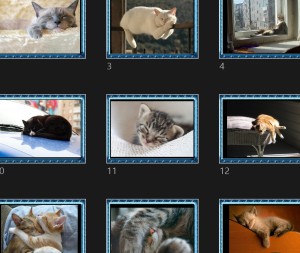 klicke hier, um die Datei herunterzuladen Chats Silence on Dors 2 - Katzen in Ruhe 2
